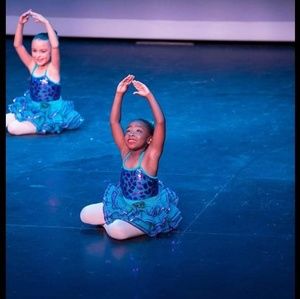 Mermaid Ballet Costume